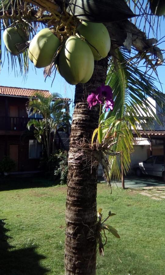 Ceu De Tucuns 2* Armacao dos Buzios