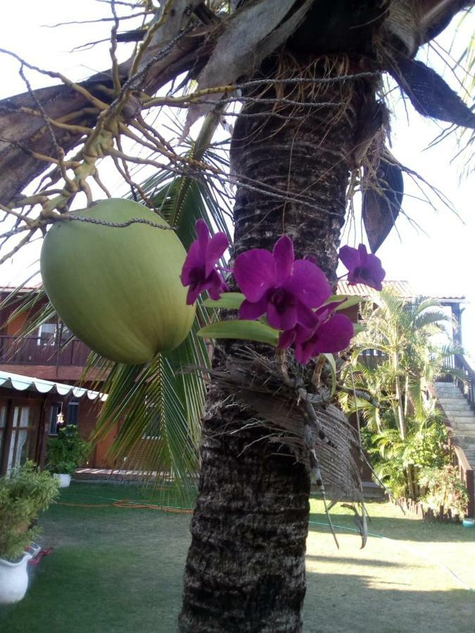 Inn Ceu De Tucuns 2*